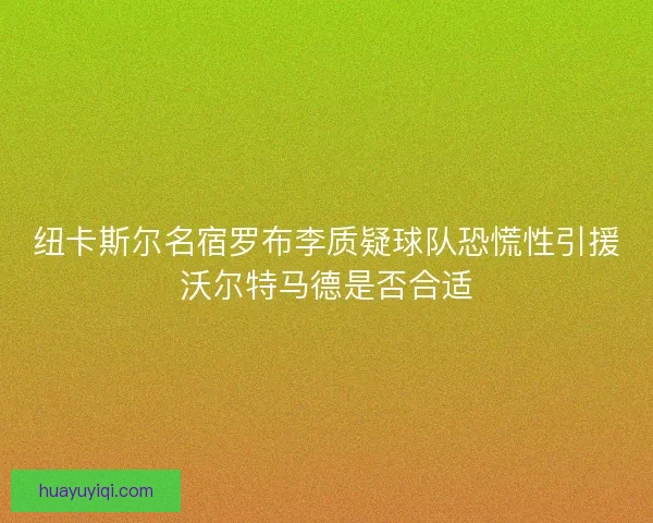 纽卡斯尔名宿罗布李质疑球队恐慌性引援沃尔特马德是否合适